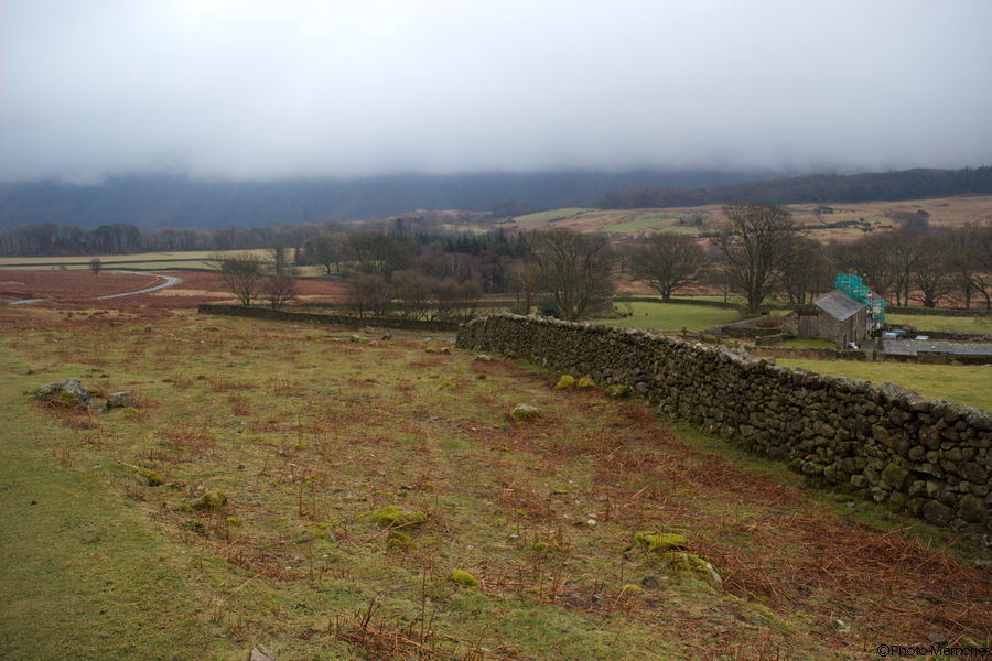2009-02-15-0016.jpg