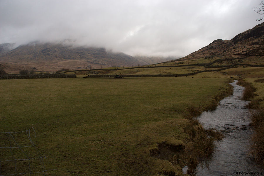 2009-02-16-0042.jpg