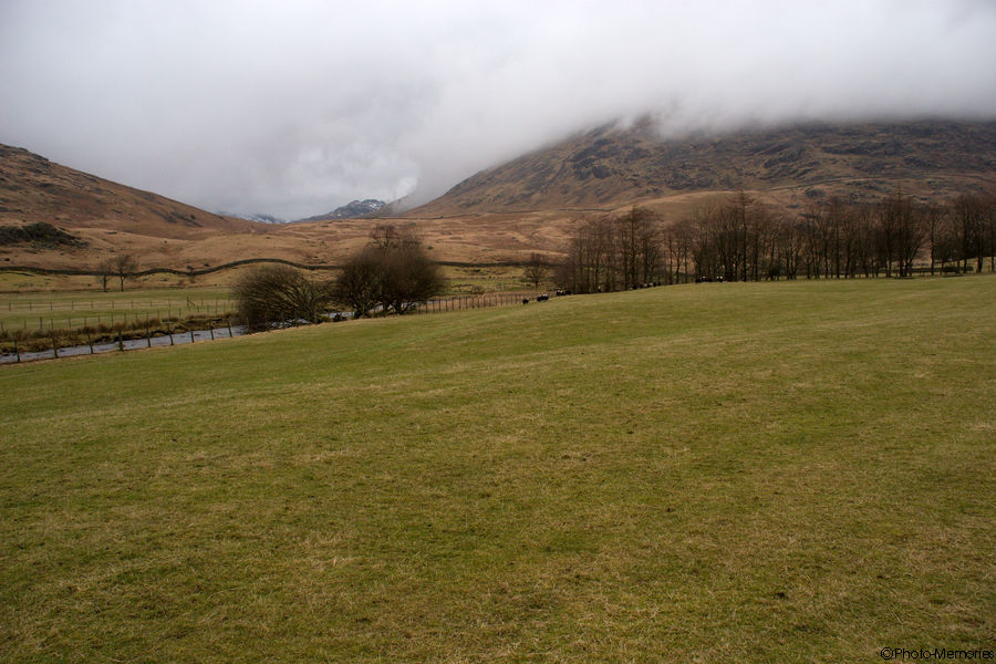 2009-02-16-0043.jpg