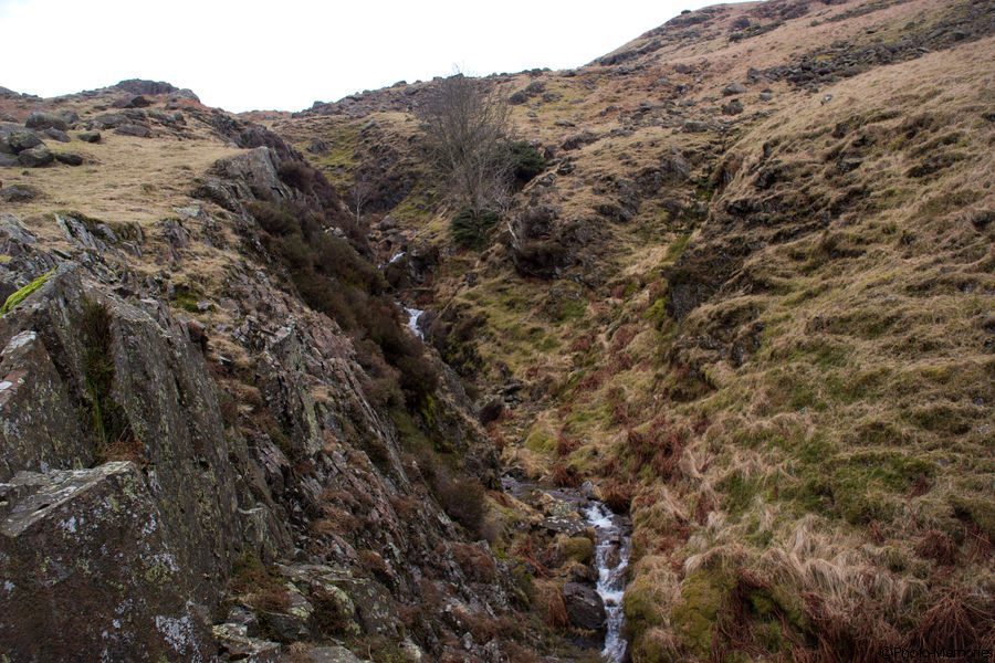 2009-02-16-0044.jpg