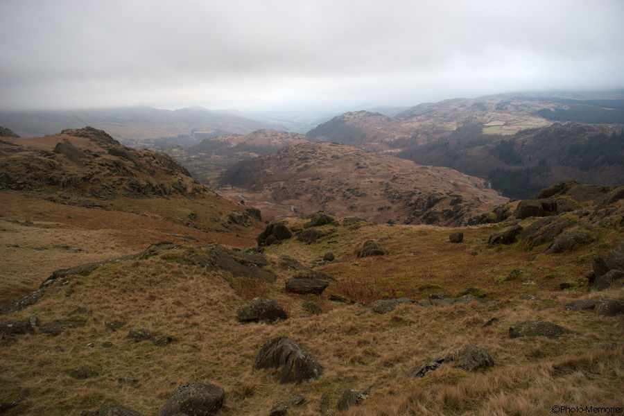 2009-02-16-0061.jpg