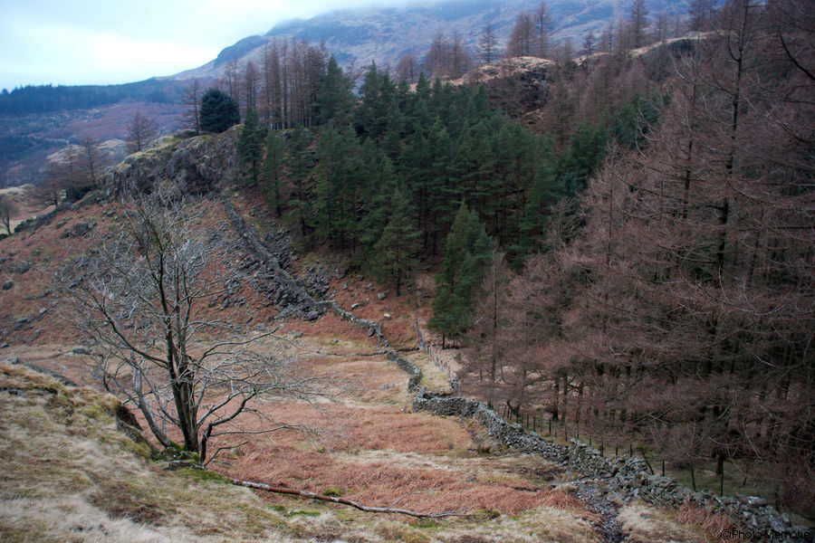 2009-02-16-0062.jpg