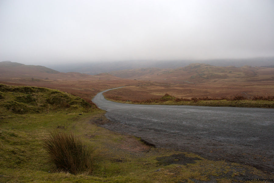 2009-02-17-0064.jpg