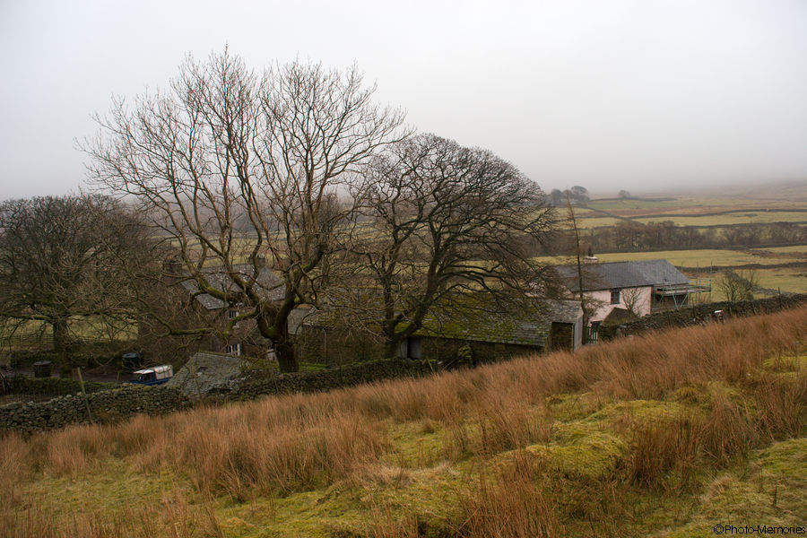 2009-02-17-0065.jpg