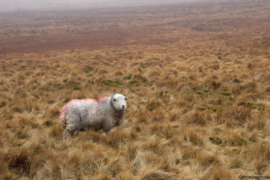 2009-02-17-0067.jpg
