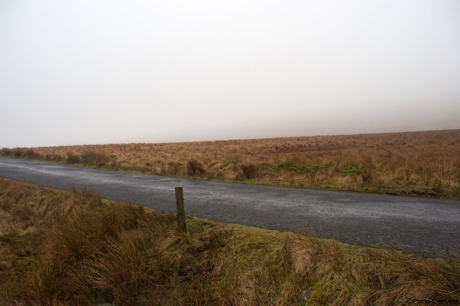 2009-02-17-0068.jpg