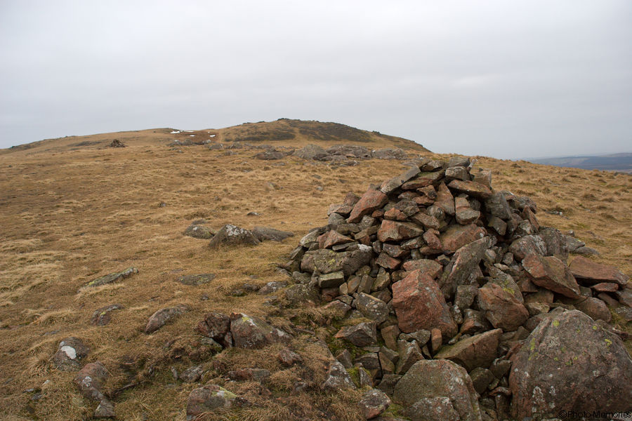 2009-02-18-0087.jpg