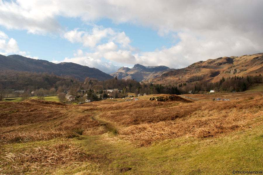 2009-02-19-0108.jpg