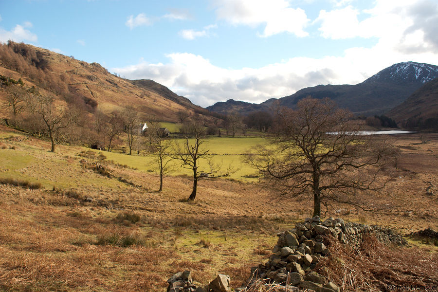 2009-02-19-0113.jpg