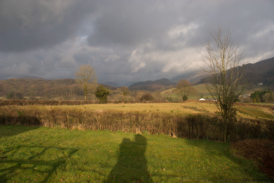 2009-02-19-0114.jpg
