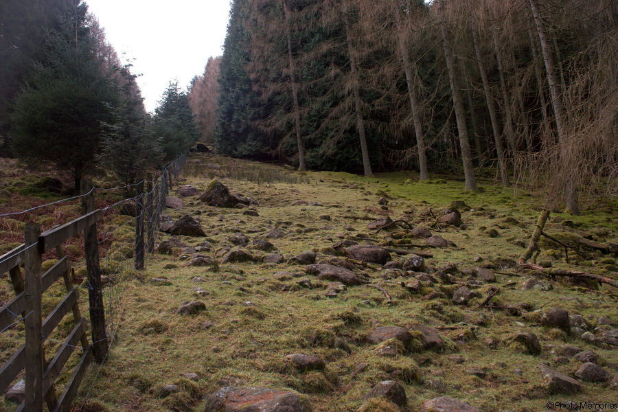 2009-02-20-0120.jpg