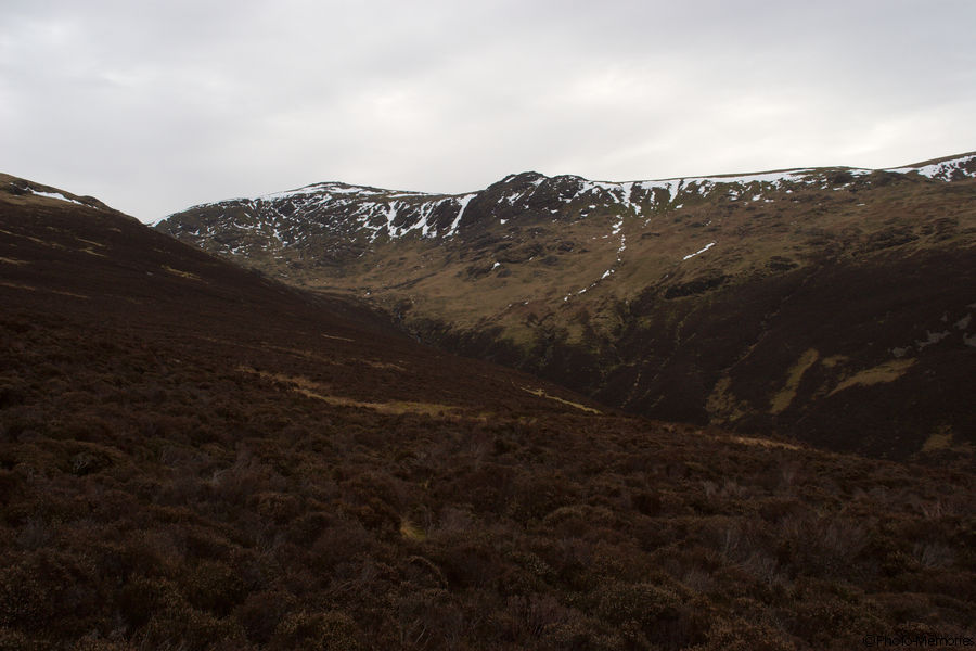 2009-02-20-0123.jpg
