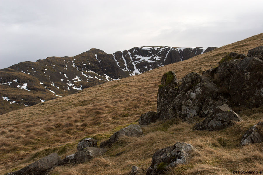 2009-02-20-0125.jpg