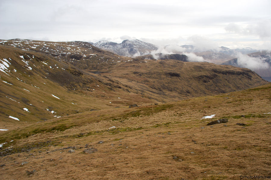 2009-02-20-0131.jpg