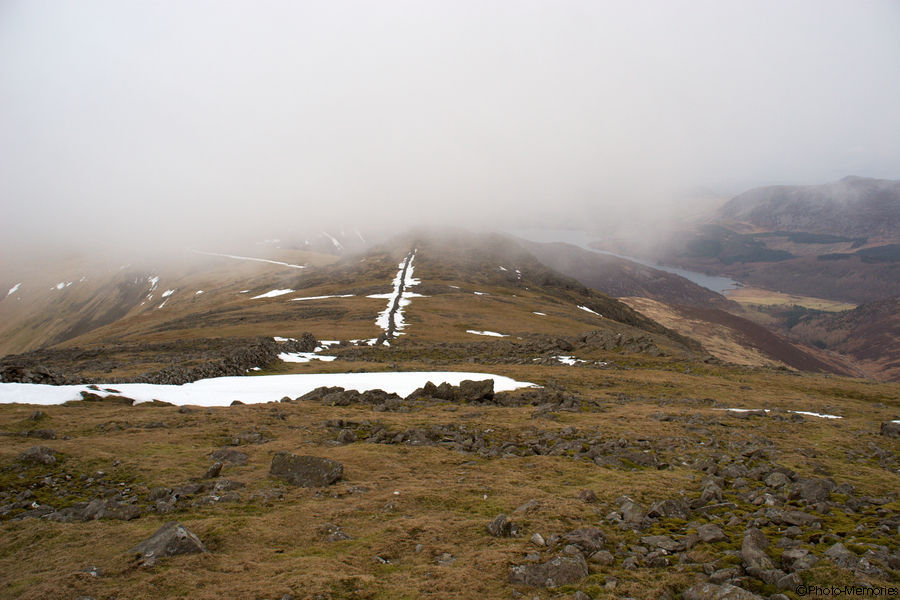 2009-02-20-0134.jpg