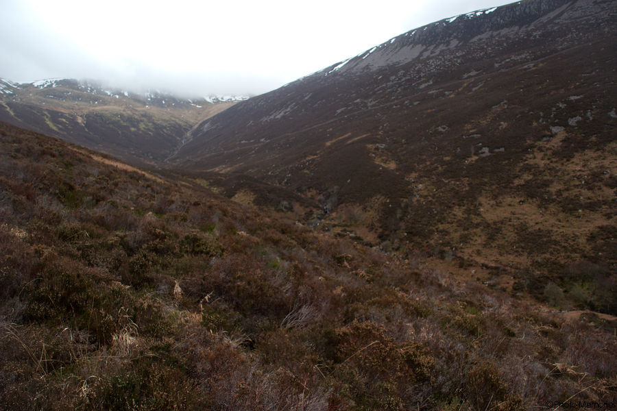 2009-02-20-0136.jpg