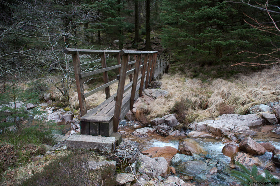 2009-02-20-0137.jpg