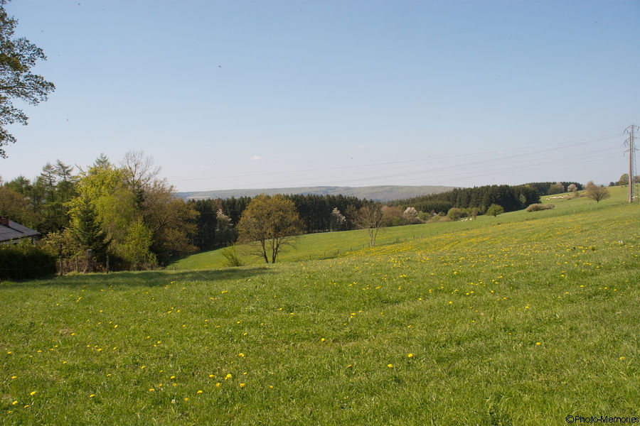 2009-04-24-0005.jpg
