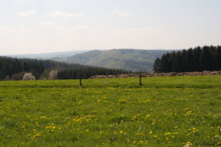 2009-04-24-0006.jpg