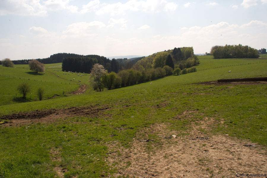 2009-04-24-0013.jpg
