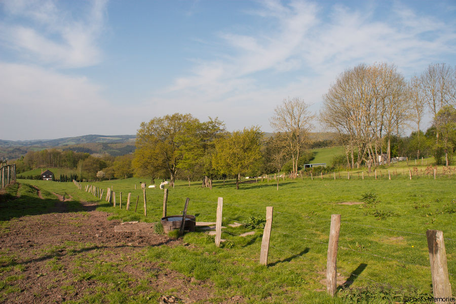 2009-04-25-0021.jpg