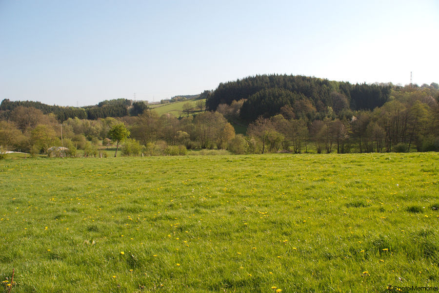 2009-04-25-0023.jpg