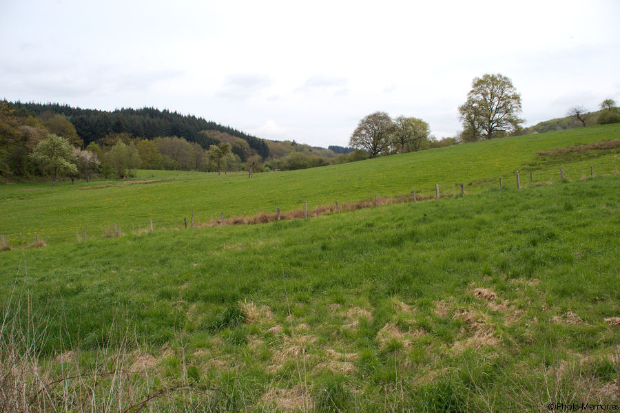 2009-04-25-0026.jpg