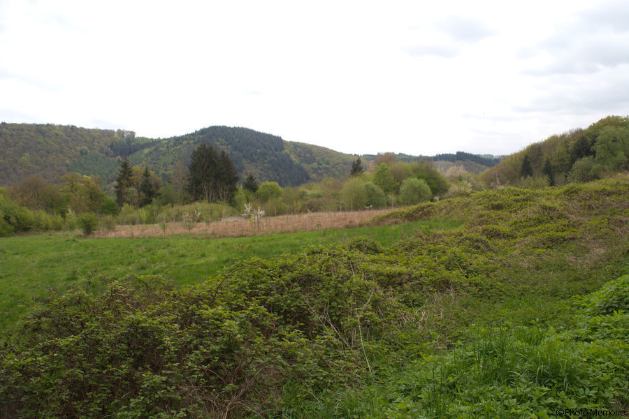 2009-04-25-0028.jpg
