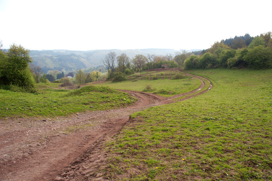 2009-04-26-0033.jpg