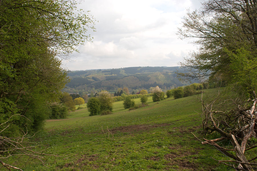 2009-04-26-0036.jpg