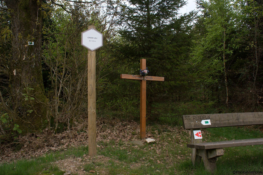 2009-04-26-0040.jpg