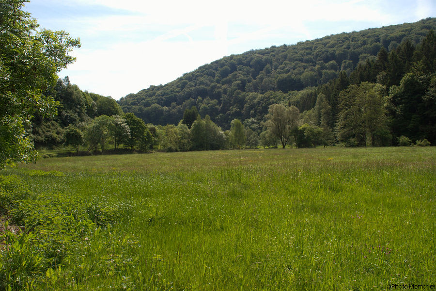 2009-05-21-0005.jpg