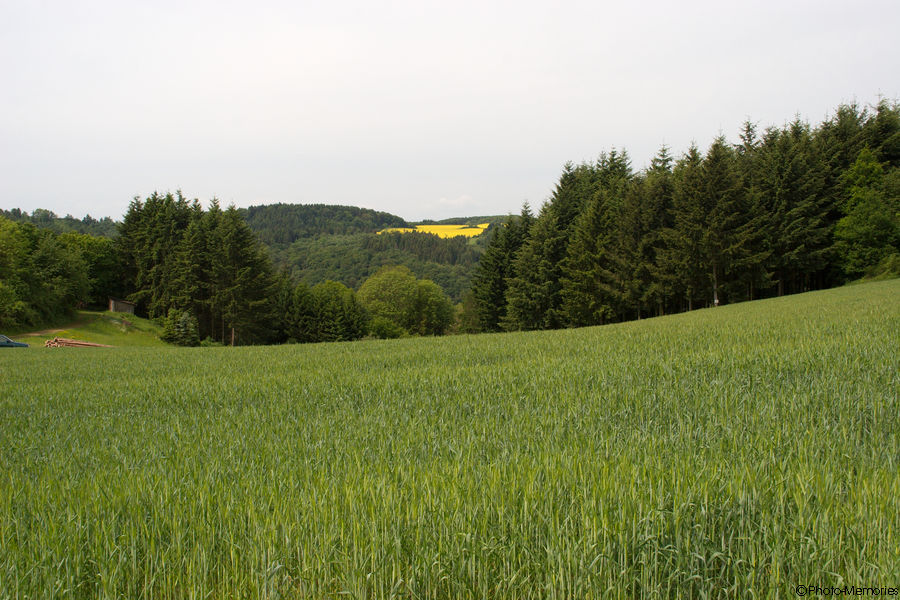 2009-05-21-0007.jpg