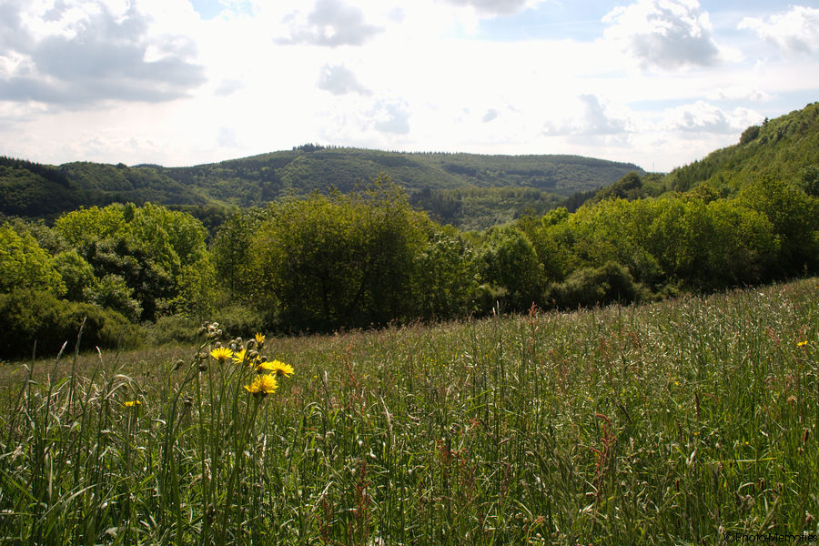 2009-05-22-0020.jpg