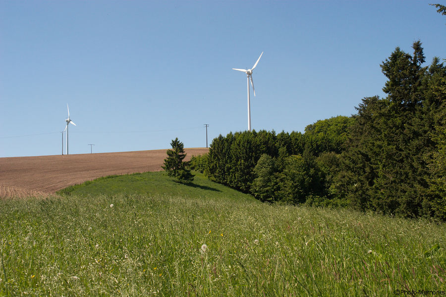 2009-05-22-0023.jpg