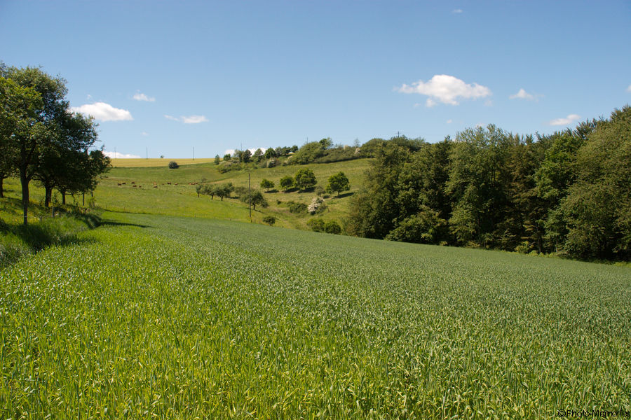 2009-05-22-0030.jpg