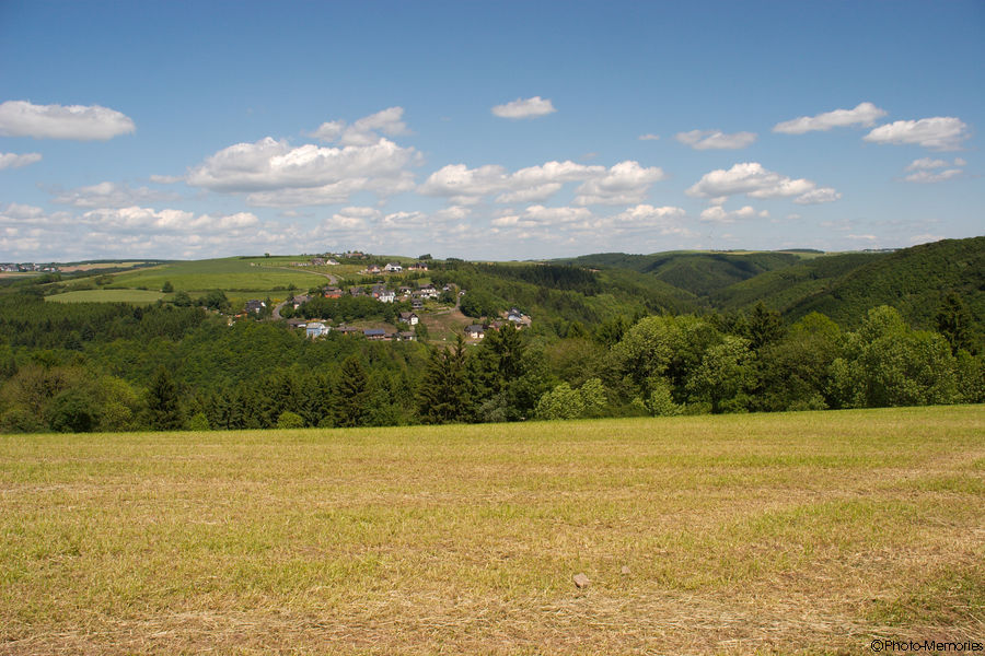 2009-05-22-0031.jpg