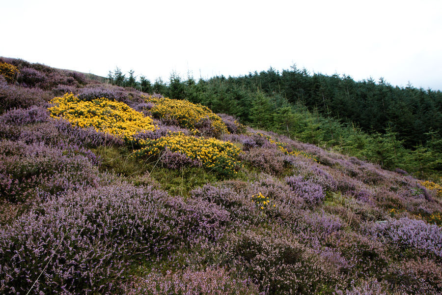 2009-09-06-0025.jpg