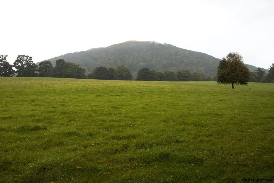 2009-09-08-0063.jpg