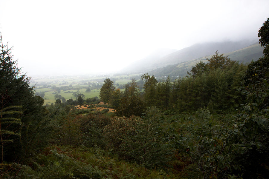 2009-09-08-0064.jpg