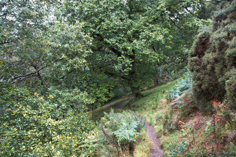 2009-09-08-0067.jpg
