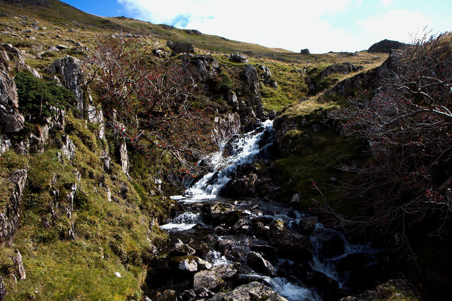 2009-09-09-0095.jpg