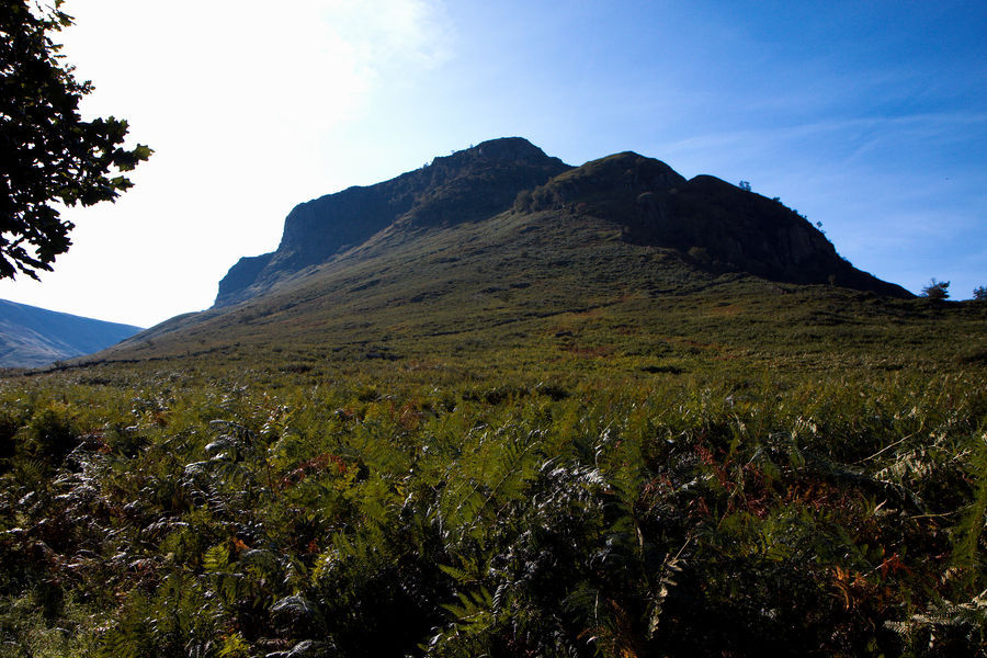 2009-09-12-0153.jpg