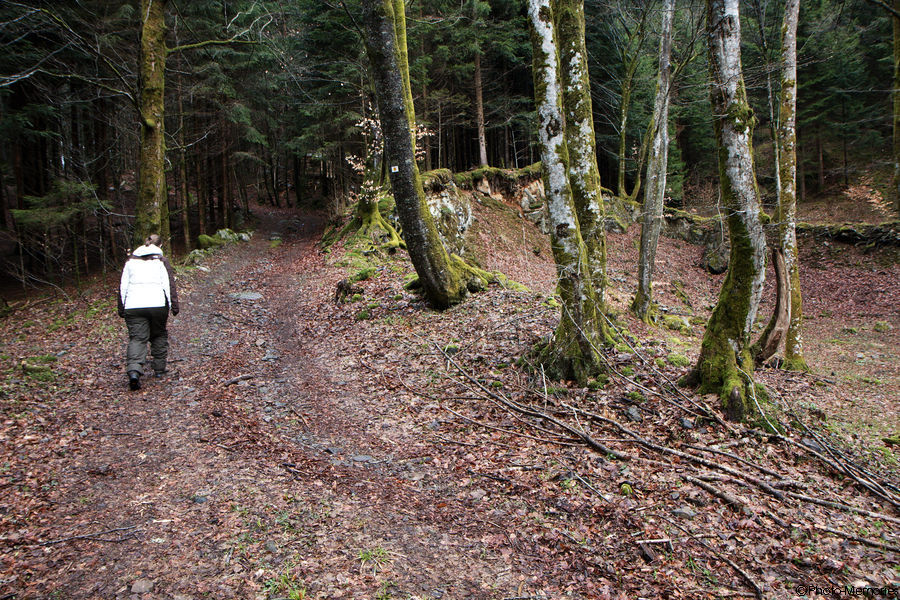 2010-04-03-0010.jpg