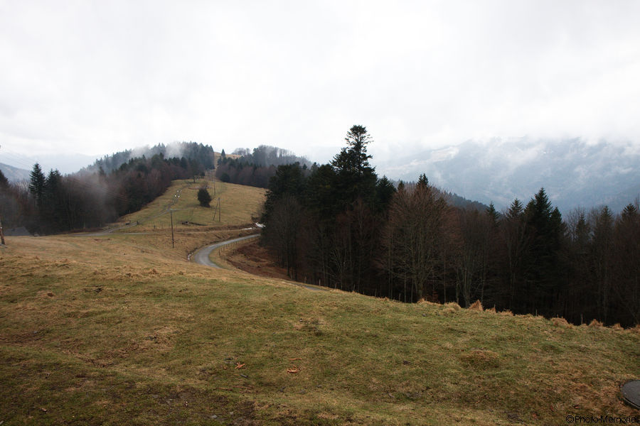 2010-04-03-0017.jpg