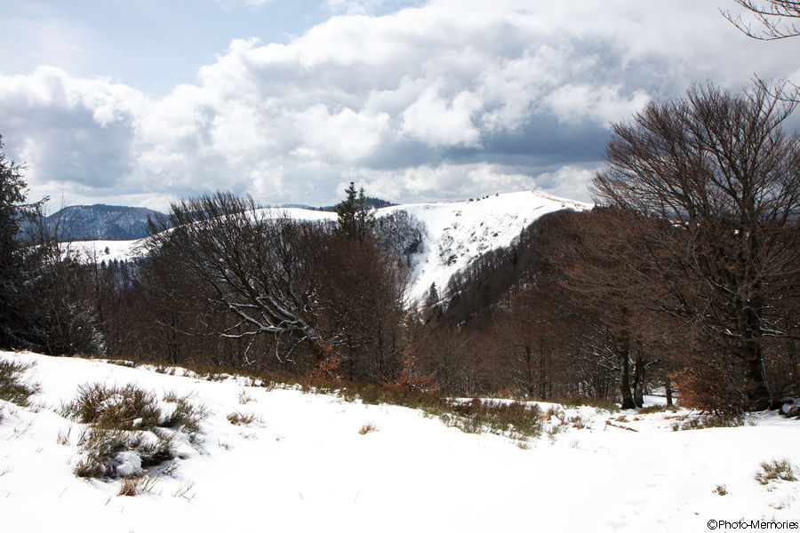 2010-04-05-0062.jpg