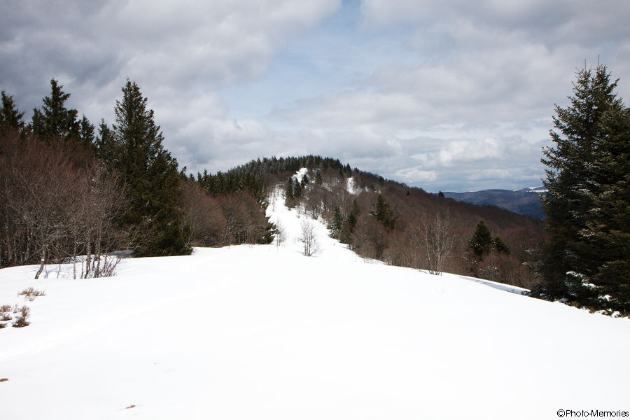 2010-04-05-0063.jpg
