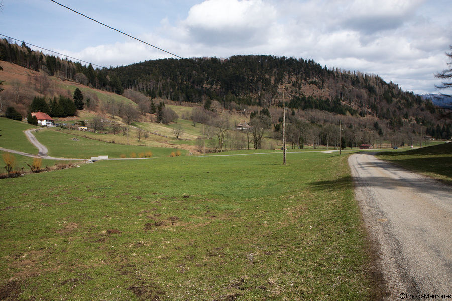 2010-04-05-0067.jpg