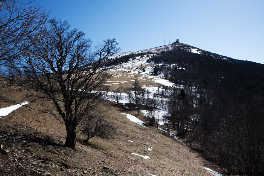 2010-04-06-0073.jpg