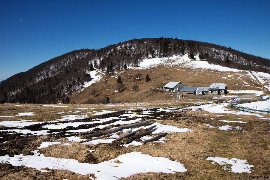 2010-04-06-0076.jpg